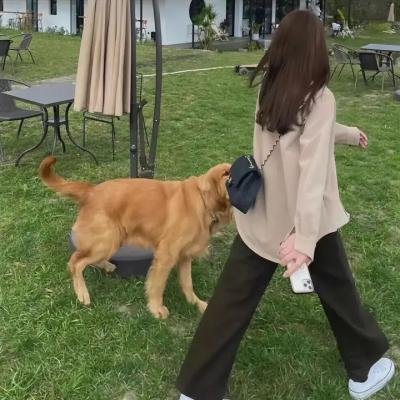 爷爷的微笑