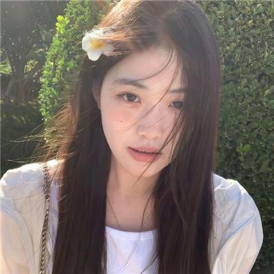 绽放的玫瑰